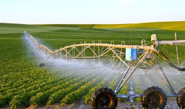 Home 1 1689993324759