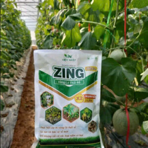 chế phẩm sinh học zing ( vàng lá thối rễ )