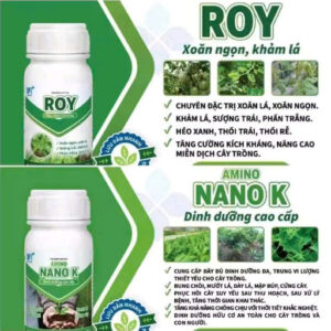 chế phẩm sinh học roy xoăn ngọn sượng trái